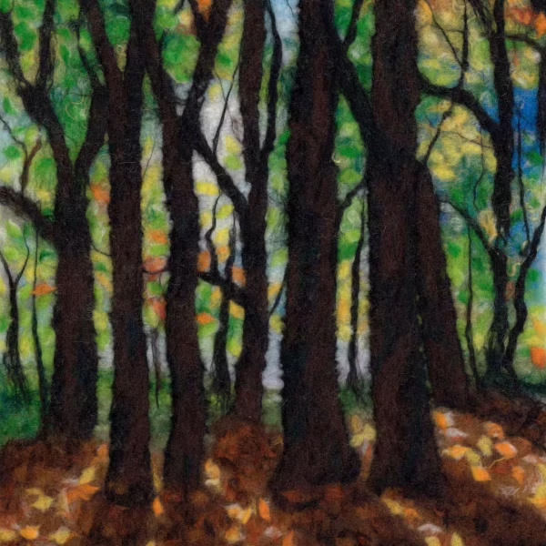 Autumn Beeches