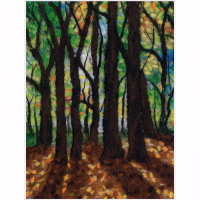 Autumn Beeches