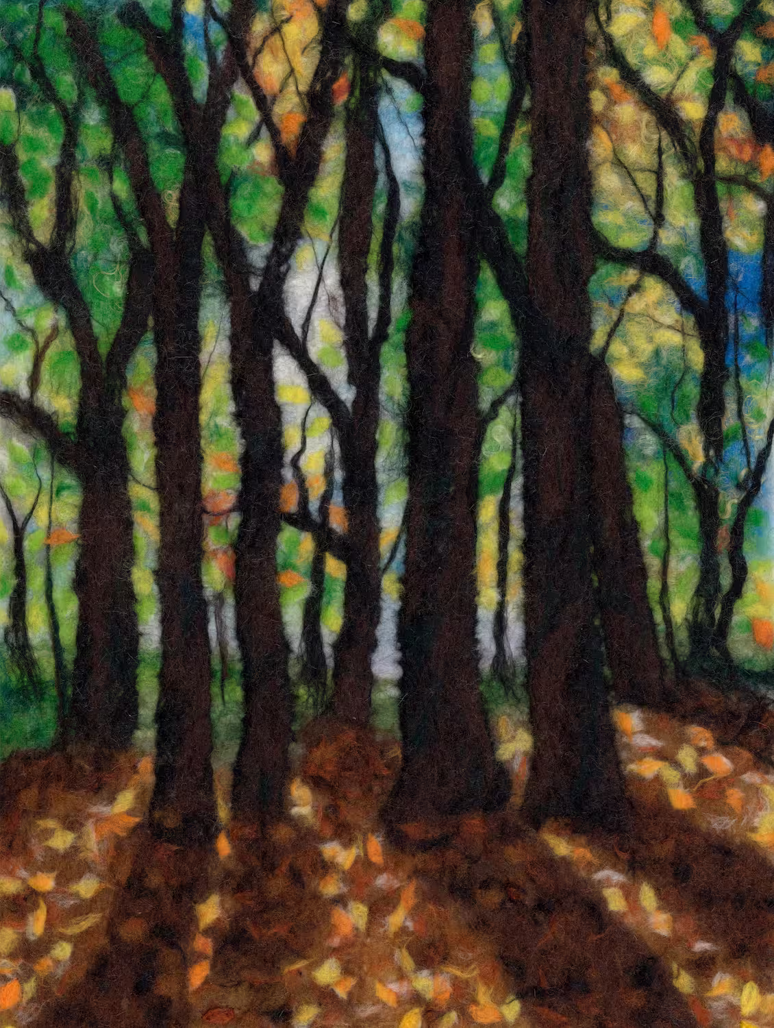 Autumn Beeches