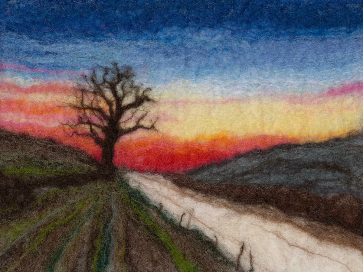 Sunset Tree 4