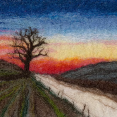 Sunset Tree 4