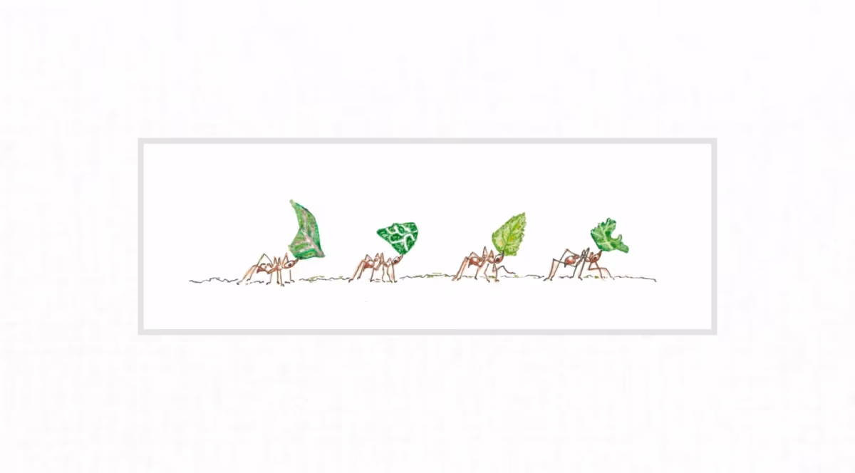 Leafcutter ants