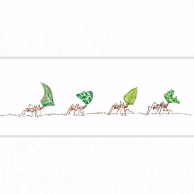 Leafcutter ants