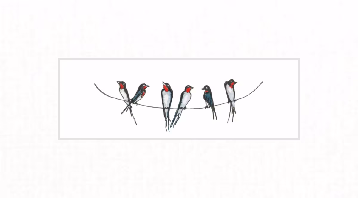 Swallows