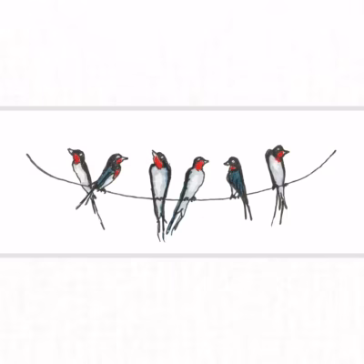 Swallows
