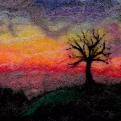 Sunset Tree 1